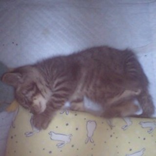 急募しています！！