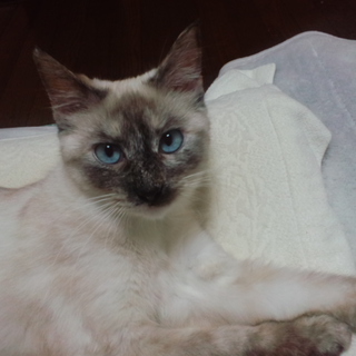 急募しています！