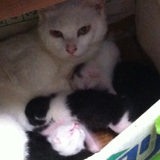 心より感謝申し上げます。