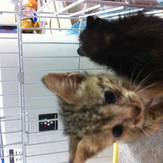 愛の手を差し伸べてください！