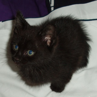 新しい家族が見つかりました♪