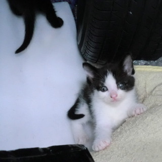 ありがとうございました！！