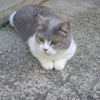 ふっくらまるちゃん。なごみます。