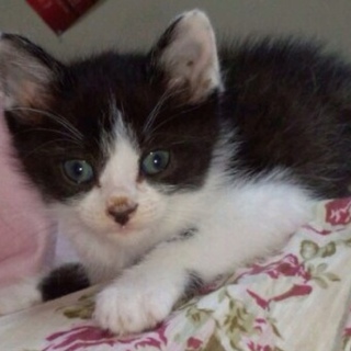 ありがとうございました