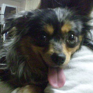 とてもビビリな女の子です