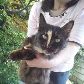 人懐っこい子です！