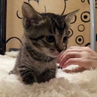 甘えたな男の子です☆