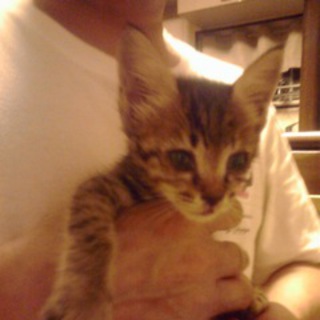 みなちゃんで～～す