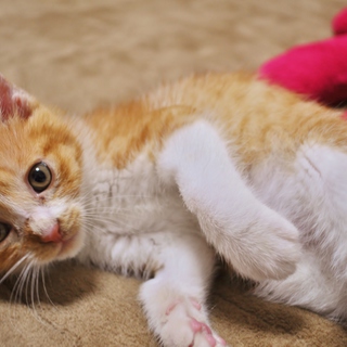 元気いっぱいの男の子★