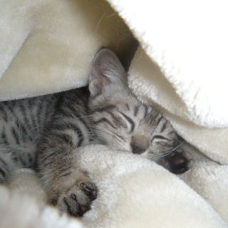 元気いっぱいです！