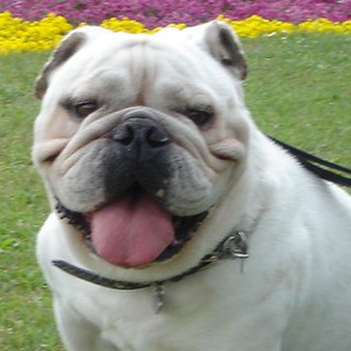 一旦募集を終了します。