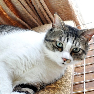 福島警戒区域から来ました