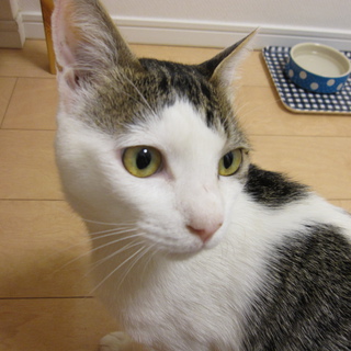 人が大好きおっとり屋さんの男の子