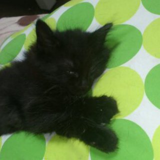 生まれたばかりです