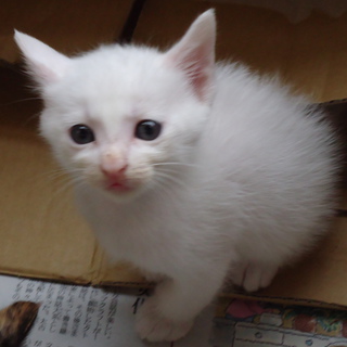 ありがとうございました