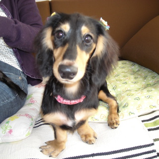 大切にしてくれる方募集