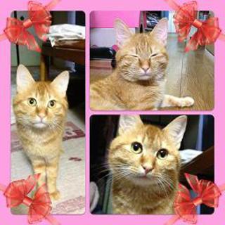 至急お願いします。