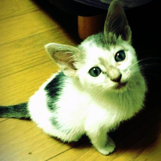 ありがとうございました