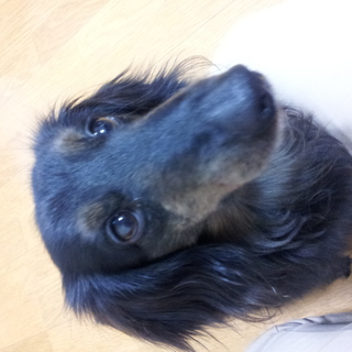 甘えん坊です。一緒にいてくれる方探しています