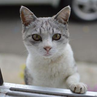 人なつっこいです＾＾