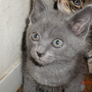 沢山の応募ありがとうございました！