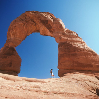 バーニーズ里親募集