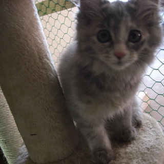 ちょっぴり恥ずかしがり屋