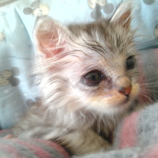 皆さま、ありがとうございました。