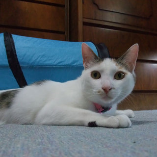 赤い糸を見つけられました！