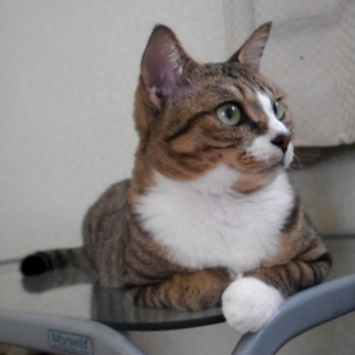 まさかの海外赴任で……。