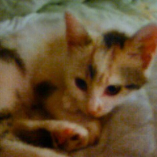 生後2ヶ月のお嬢さん