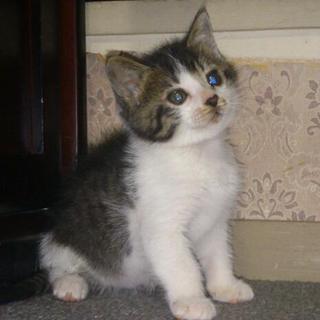 とっても可愛いくて、やんちゃな男の子です。