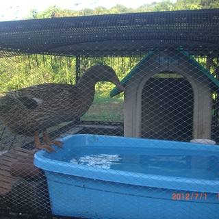 急募です。よろしくお願いします