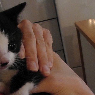 好奇心旺盛な生後1カ月