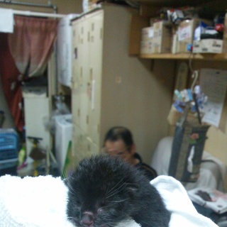 無事決まりました、ありがとうございました