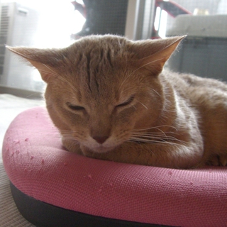 決まりました。ありがとうございました。