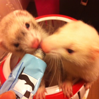 ご応募ありがとうございました！