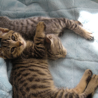 かわいい兄弟です♪