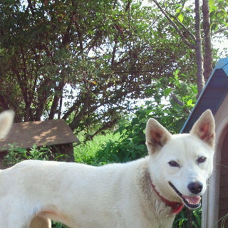 恐がりサンだけど・・・