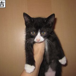 ありがとうございました＾＾