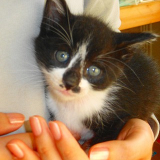 おっとりマイペースな男の子