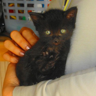 小柄だけど元気いっぱいな男の子