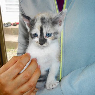 やんちゃな女の子