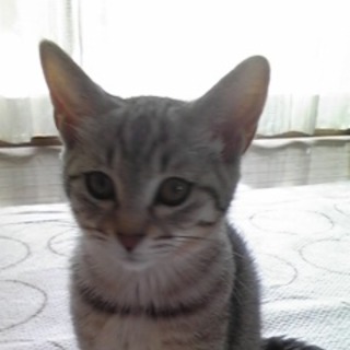 山口県へお嫁入りが決まりました！