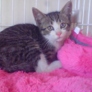 じゅんくんで～～す