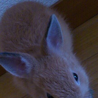 ありがとうございました！