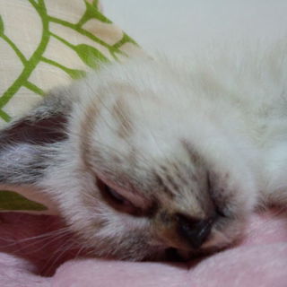 皆様のおかげです。ありがとうございました！