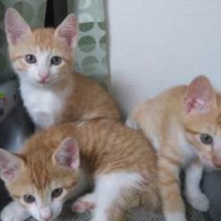 一時停止します