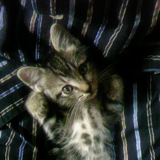 ありがとうございました！