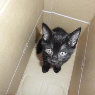 生後2ヶ月の男の子です。